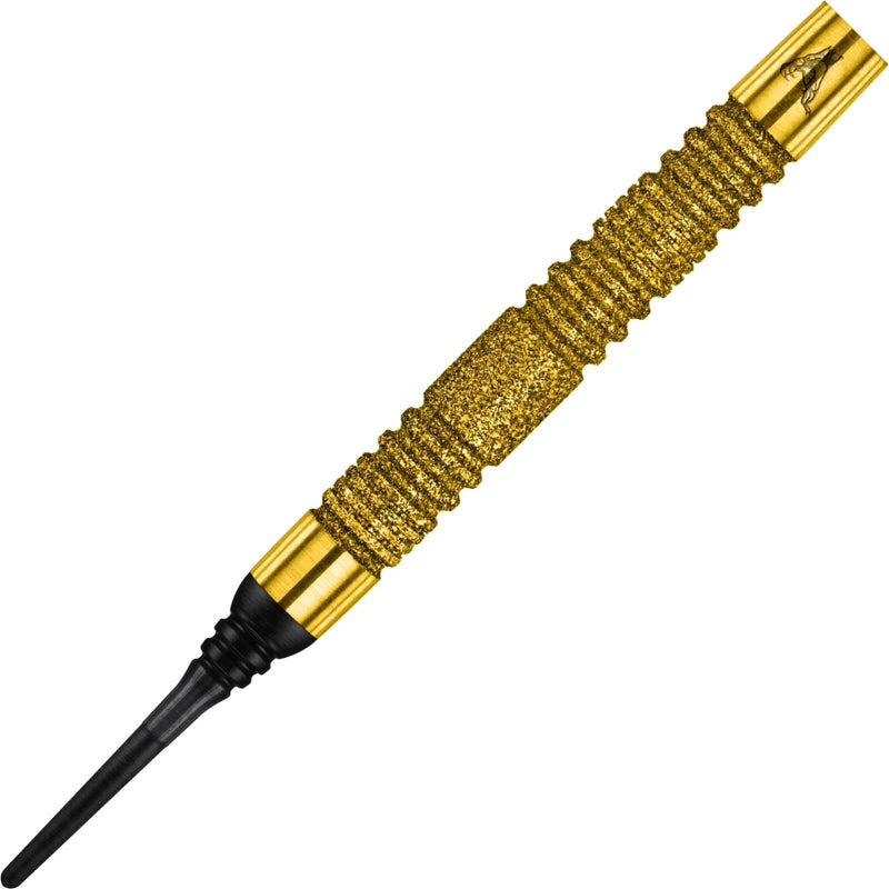 Laden Sie das Bild in Galerie -Viewer, Peter Wright - Euro 11 PC20 Steel Tip