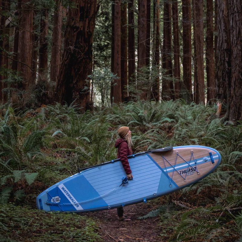 Cargue la imagen en el visor de la galería, Eine Person trägt ein blaues und holzfarbenes Thurso Surf Paddleboard durch einen dichten Wald mit hohen Redwood-Bäumen, umgeben von üppigen grünen Farnen.