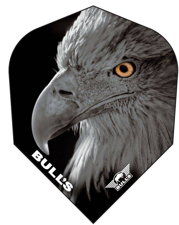 Laden Sie das Bild in Galerie -Viewer, Bull's Eagle 2 85% Steel Tip