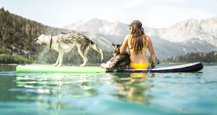 Wie man Stand Up Paddle Boards auswählt Boards: Aufblasbares SUP oder Hardboard？