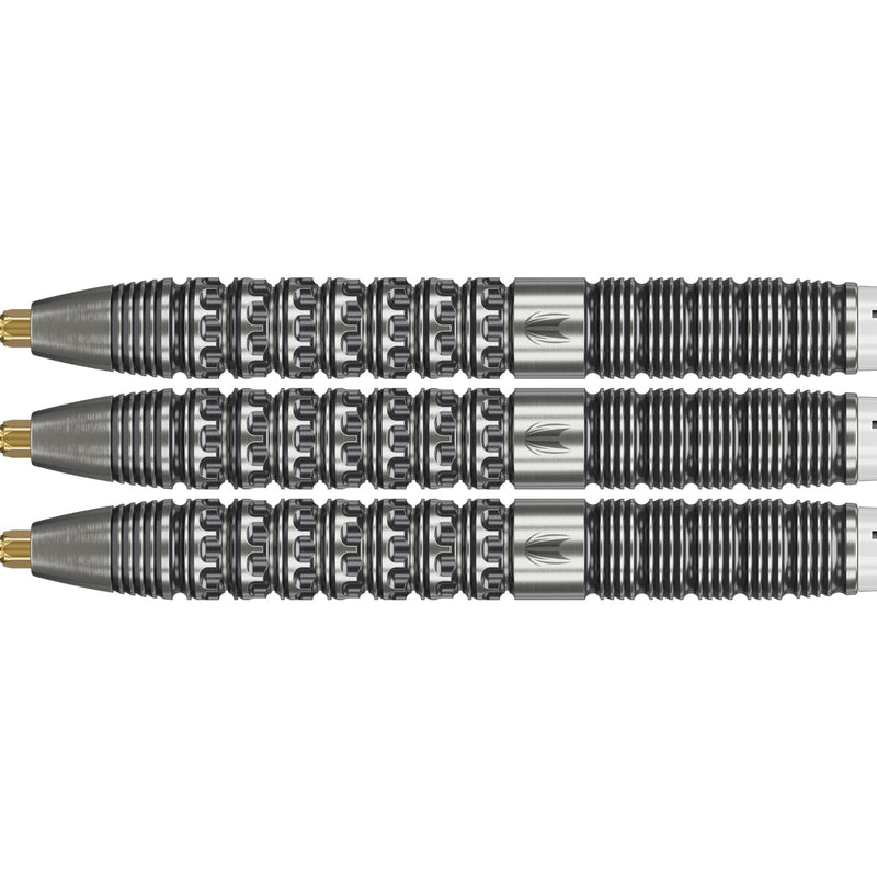 Load image into Gallery viewer, Target Redux 01 Swiss Point Steeldarts
