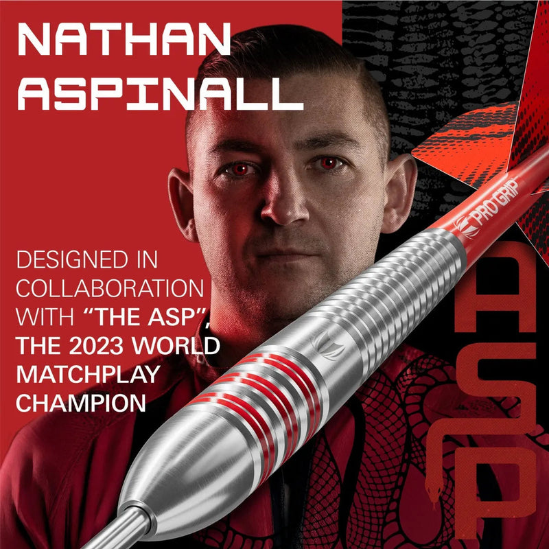 Laden Sie das Bild in Galerie -Viewer, Nathan Aspinall Brass Steel Tip Darts 2025
